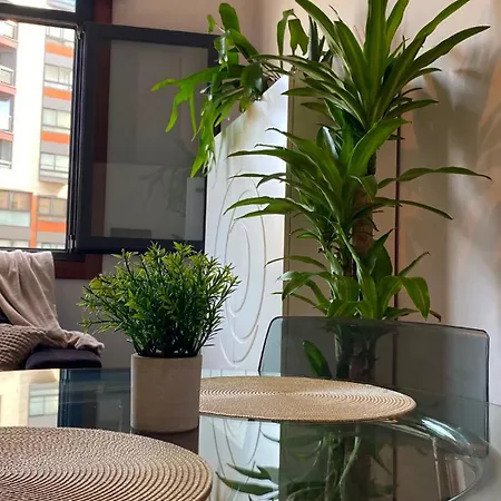 Confort En Apartamento